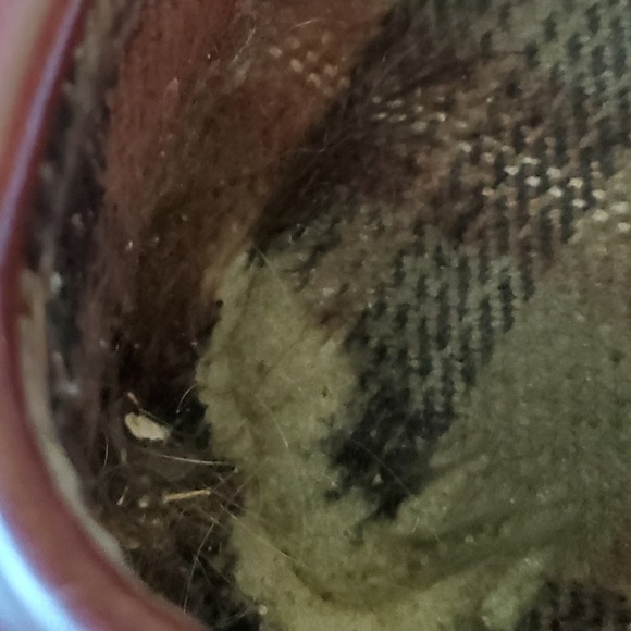 L.L. Bean Brown Leather Slippers Size 11 - Picture 5 of 7